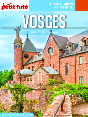 cover image of VOSGES 2021 Carnet Petit Futé